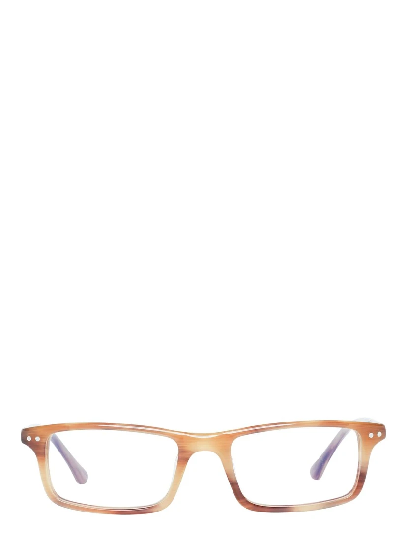 Brown Plastic Glasses (Frames)