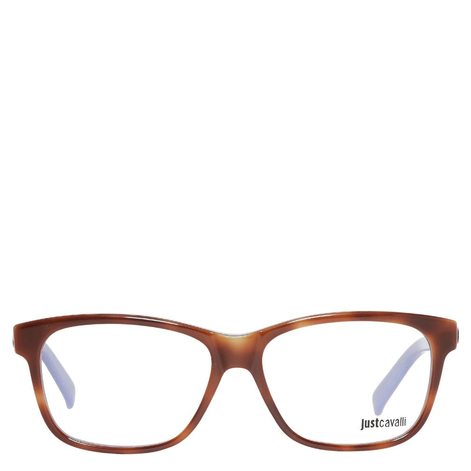 Brown Plastic Glasses (Frames)
