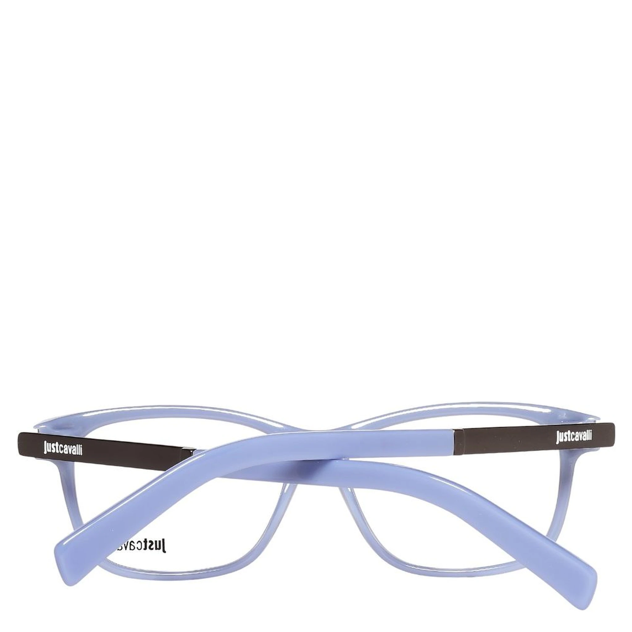 Brown Plastic Glasses (Frames)