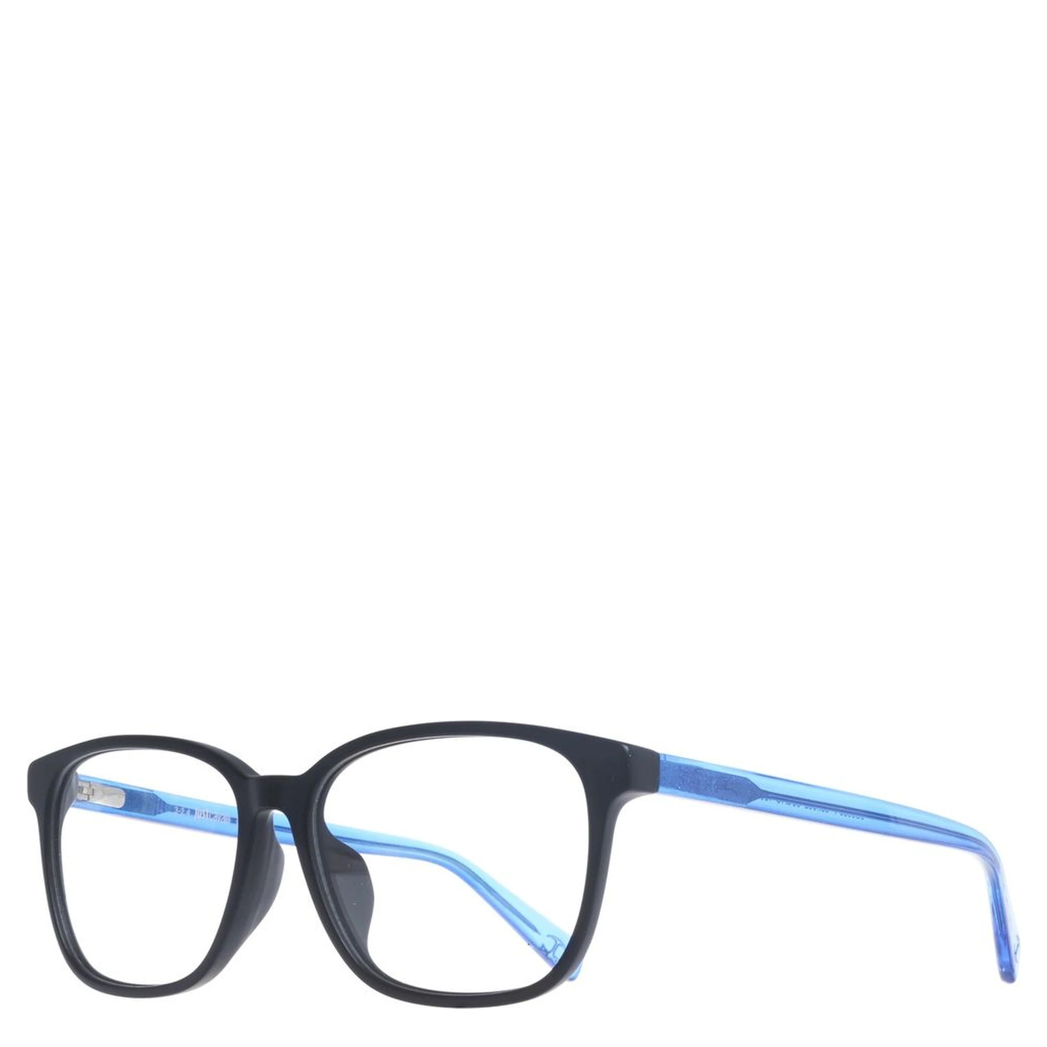 Black Plastic Glasses (Frames)