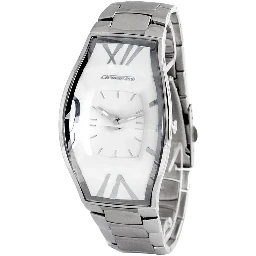 ساعة يد رسمية من الفولاذ المقاوم للصدأ الفضي