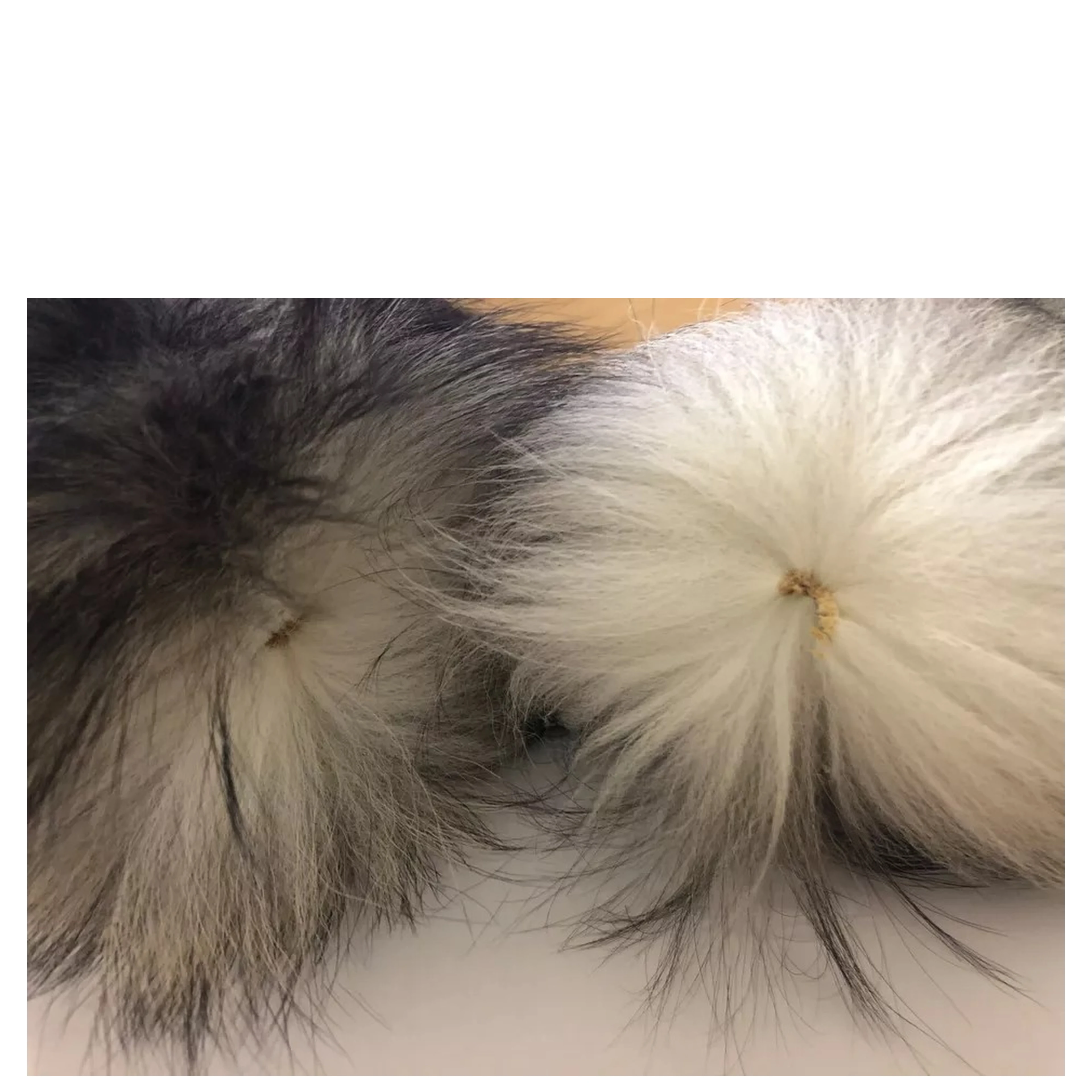 Brown Fox Tail Fur Shawl Neck Wrap Cover Collar Scarf