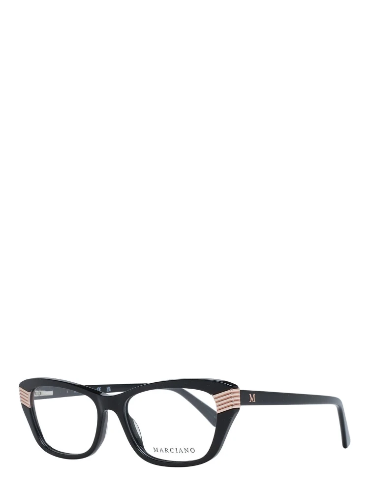 Black Plastic Glasses (Frames)