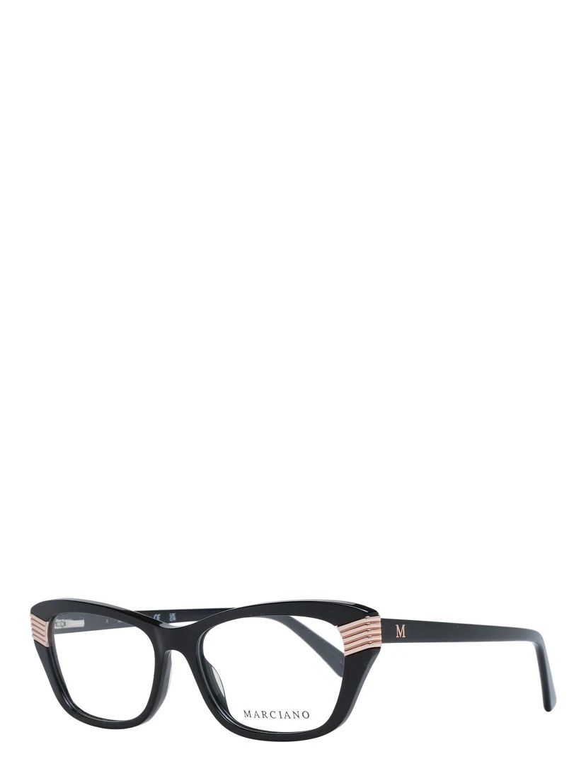 Black Plastic Glasses (Frames)