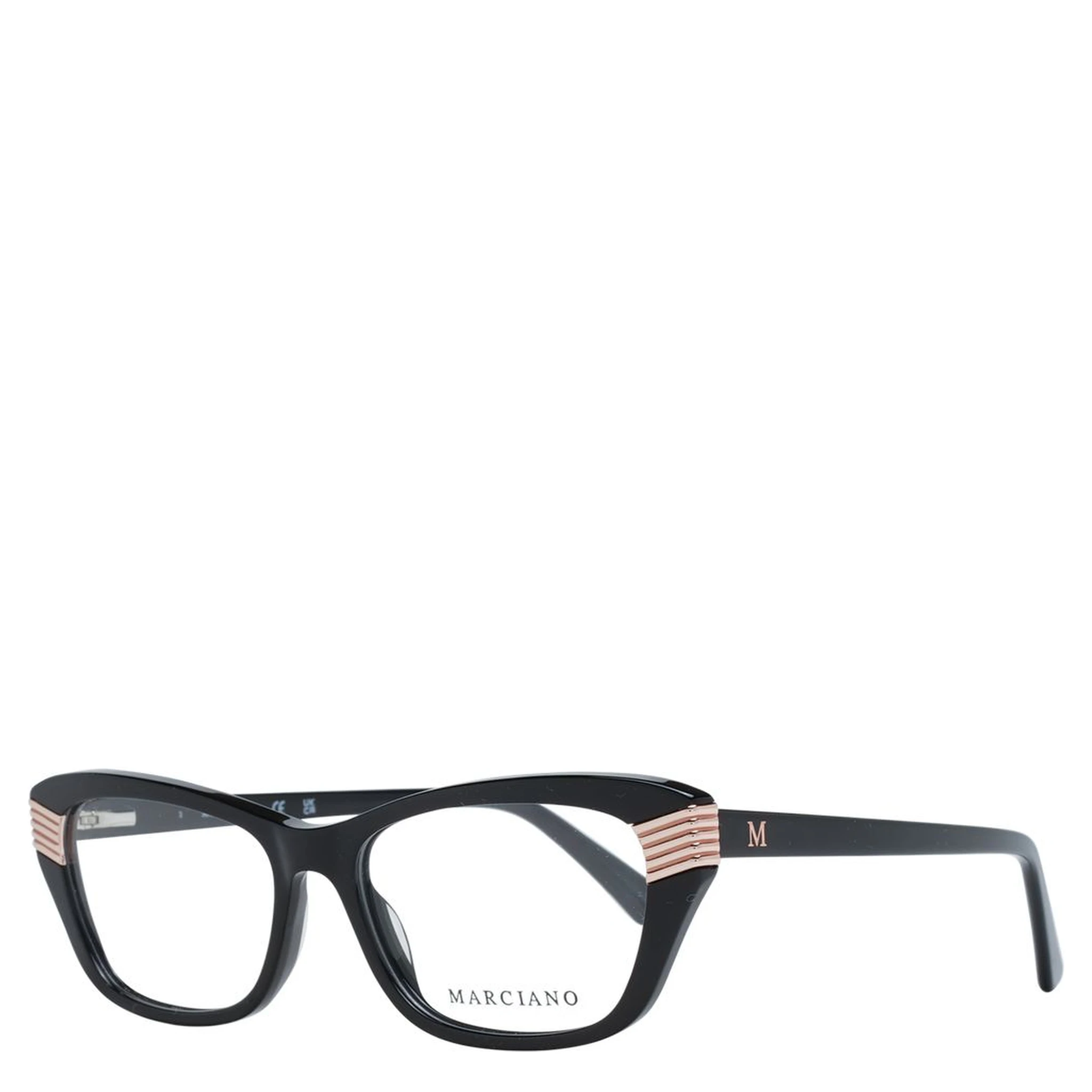 Black Plastic Glasses (Frames)