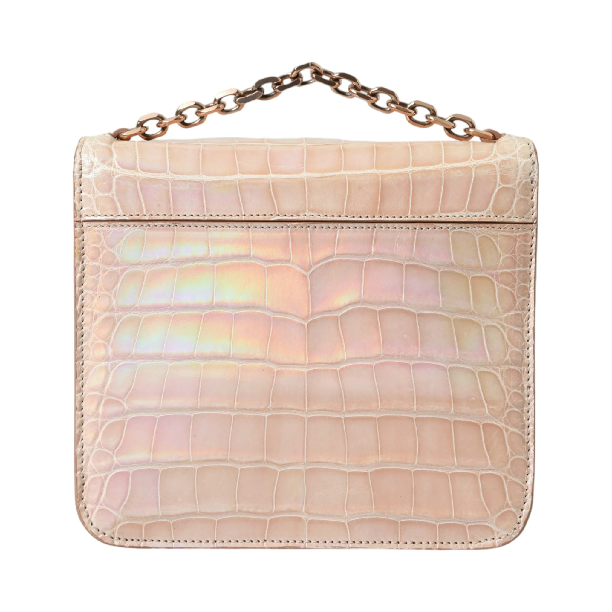 Beige Blue Agate Exotic Leather Gold Chain Purse Bag