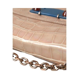 Beige Blue Agate Exotic Leather Gold Chain Purse Bag