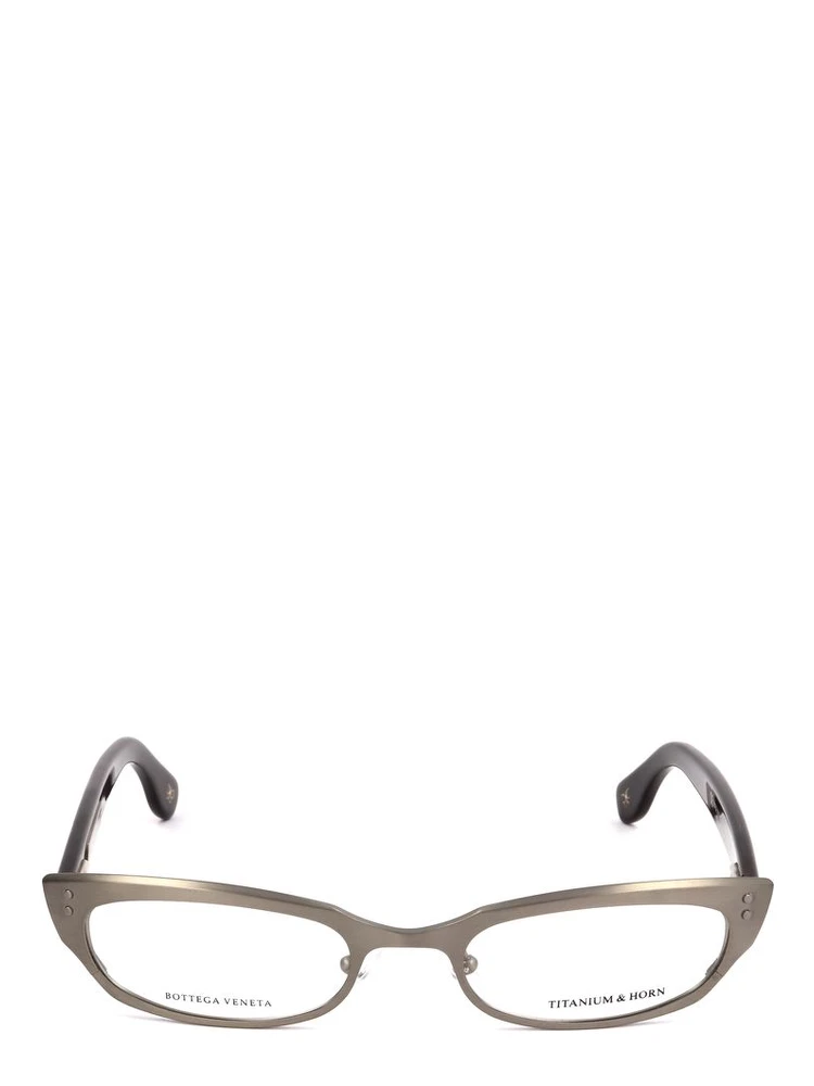 Bicolor Titanium Glasses (Frames)