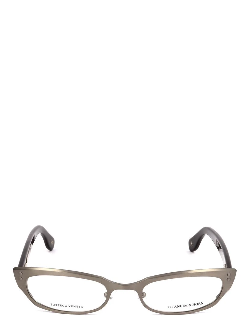 Bicolor Titanium Glasses (Frames)