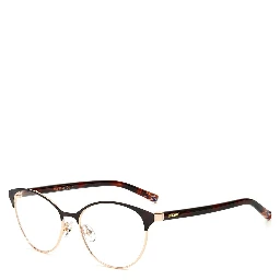Brown Metal Glasses (Frames)