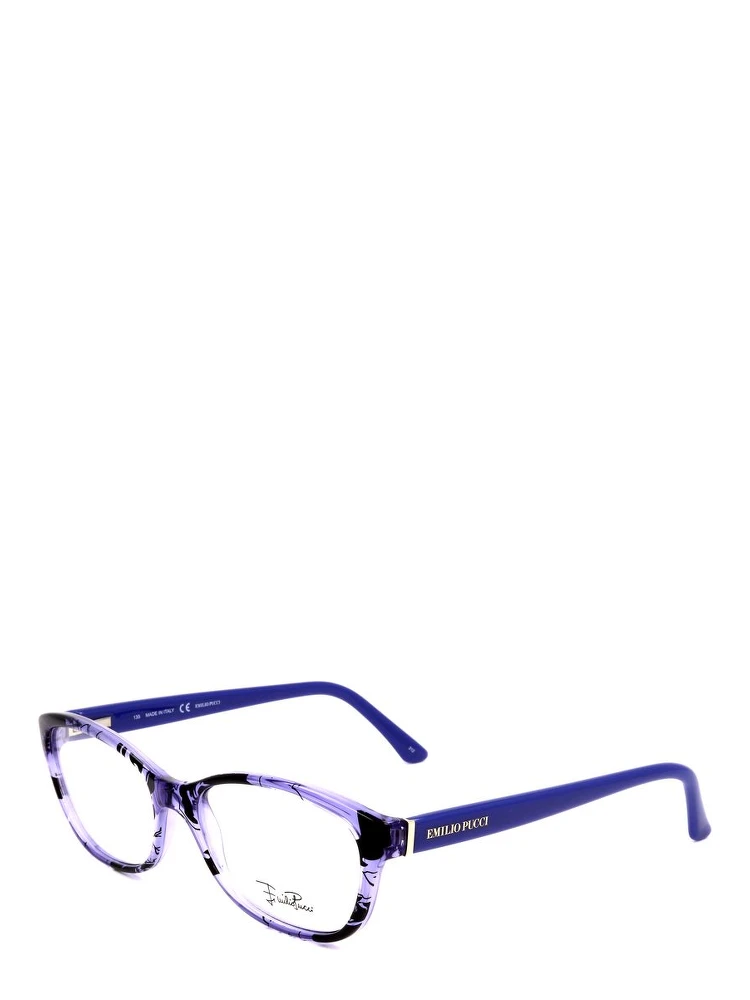 Blue Plastic Glasses (Frames)