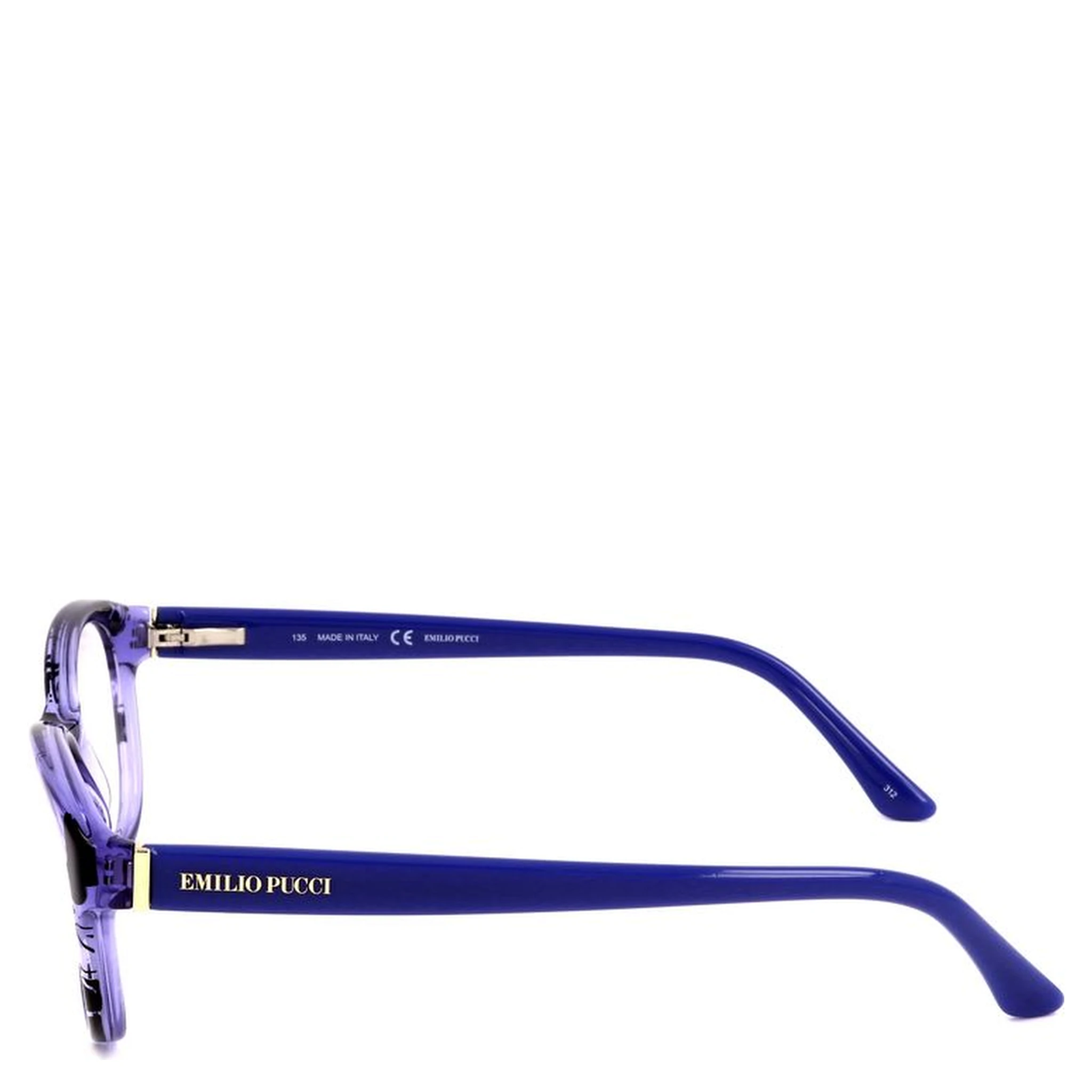 Blue Plastic Glasses (Frames)