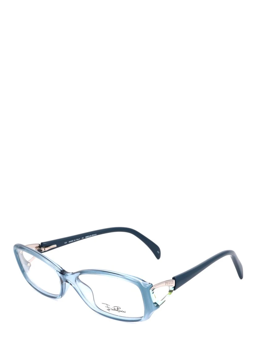 Blue Plastic Glasses (Frames)