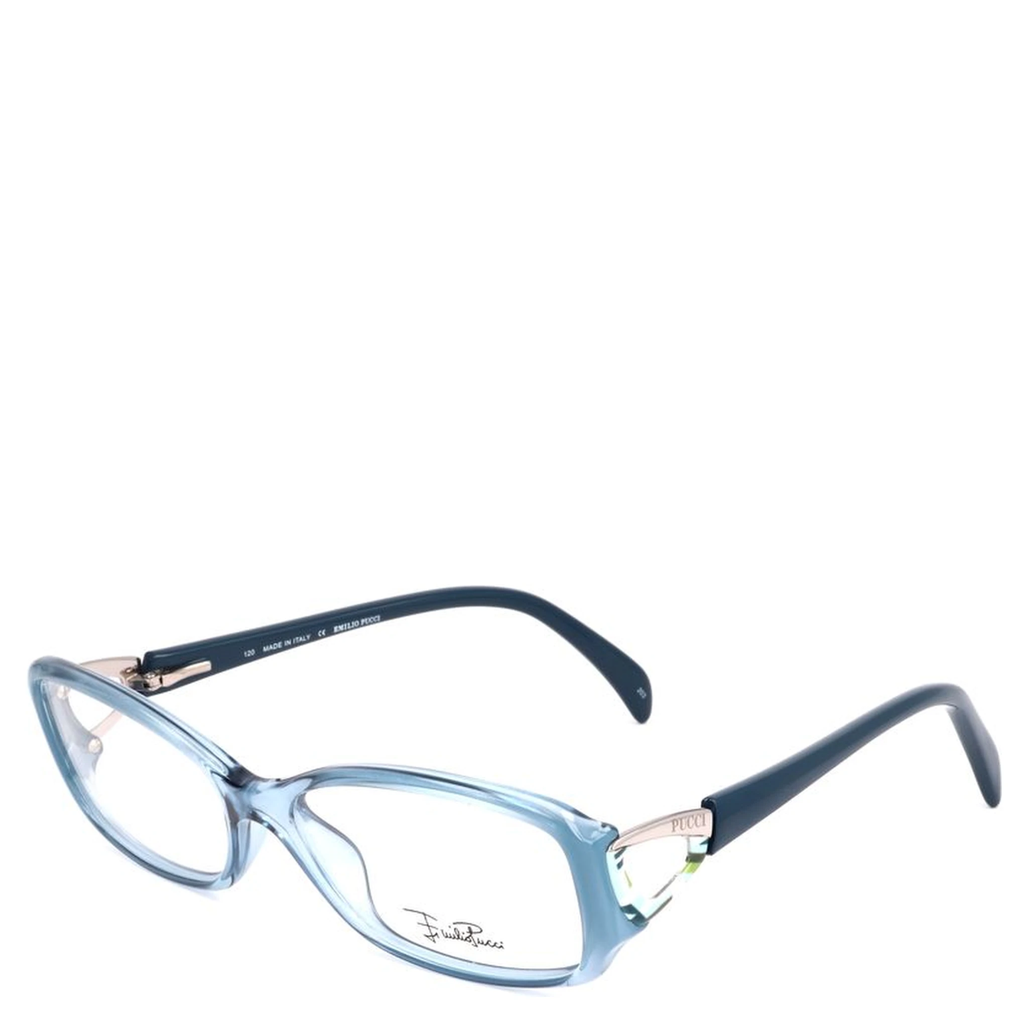 Blue Plastic Glasses (Frames)
