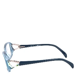 Blue Plastic Glasses (Frames)