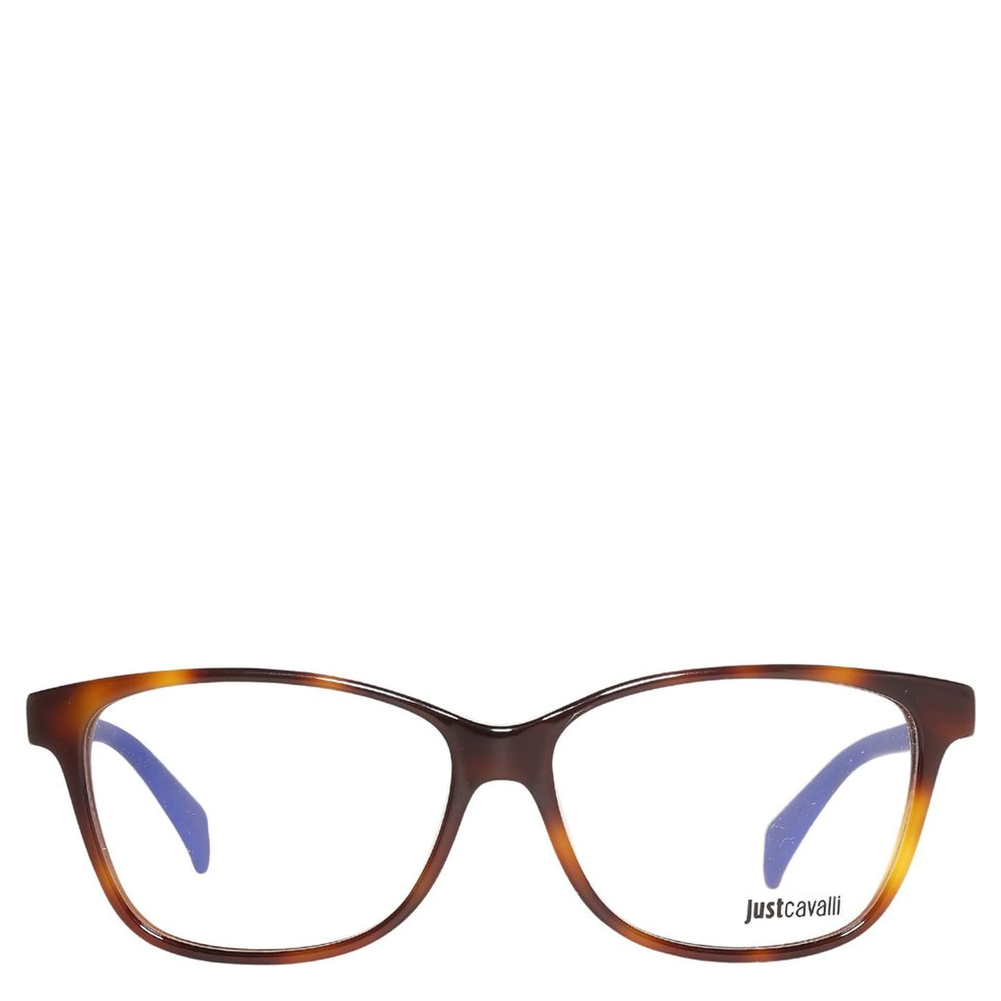 Brown Plastic Glasses (Frames)
