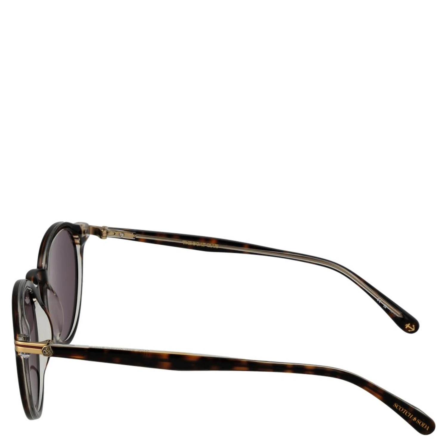 Brown Acetate Sunglasses