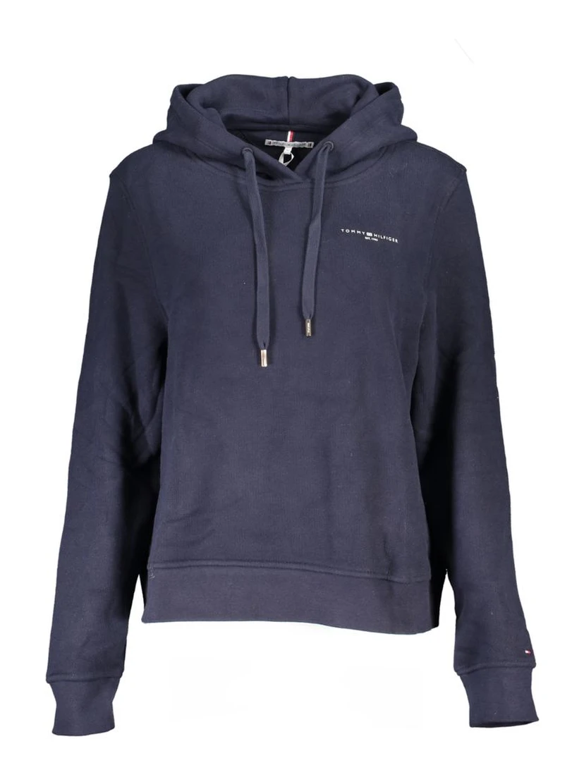 1985 Mini Corp Logo Hoodie in blue