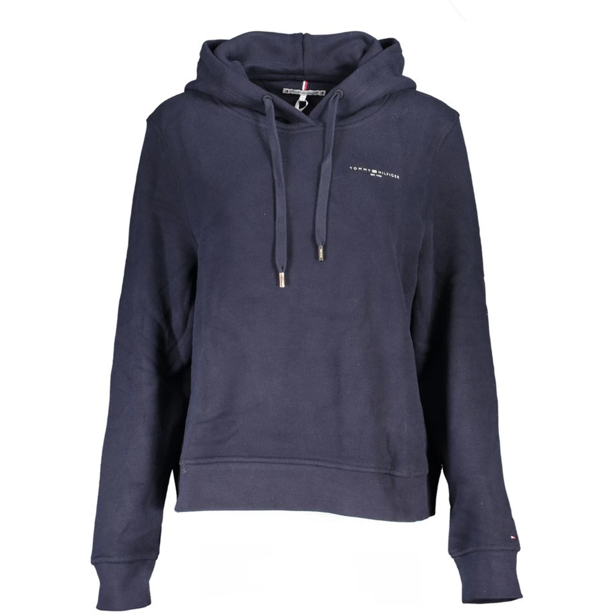 1985 Mini Corp Logo Hoodie in blue