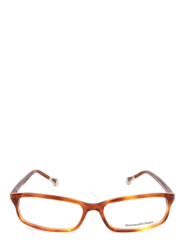 Brown Plastic Glasses (Frames)