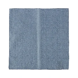 Emporio Armani Scarfs Clear Blue