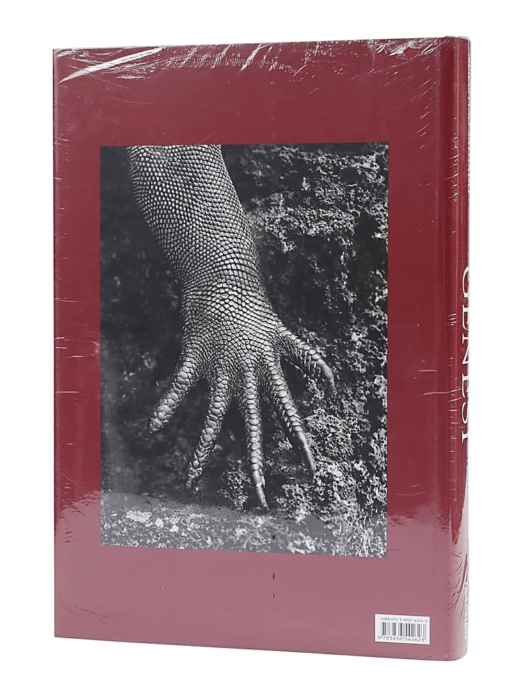 TASCHEN Living alternative