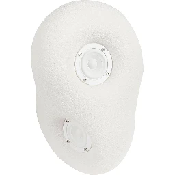 TRANSPARENT Accessories White