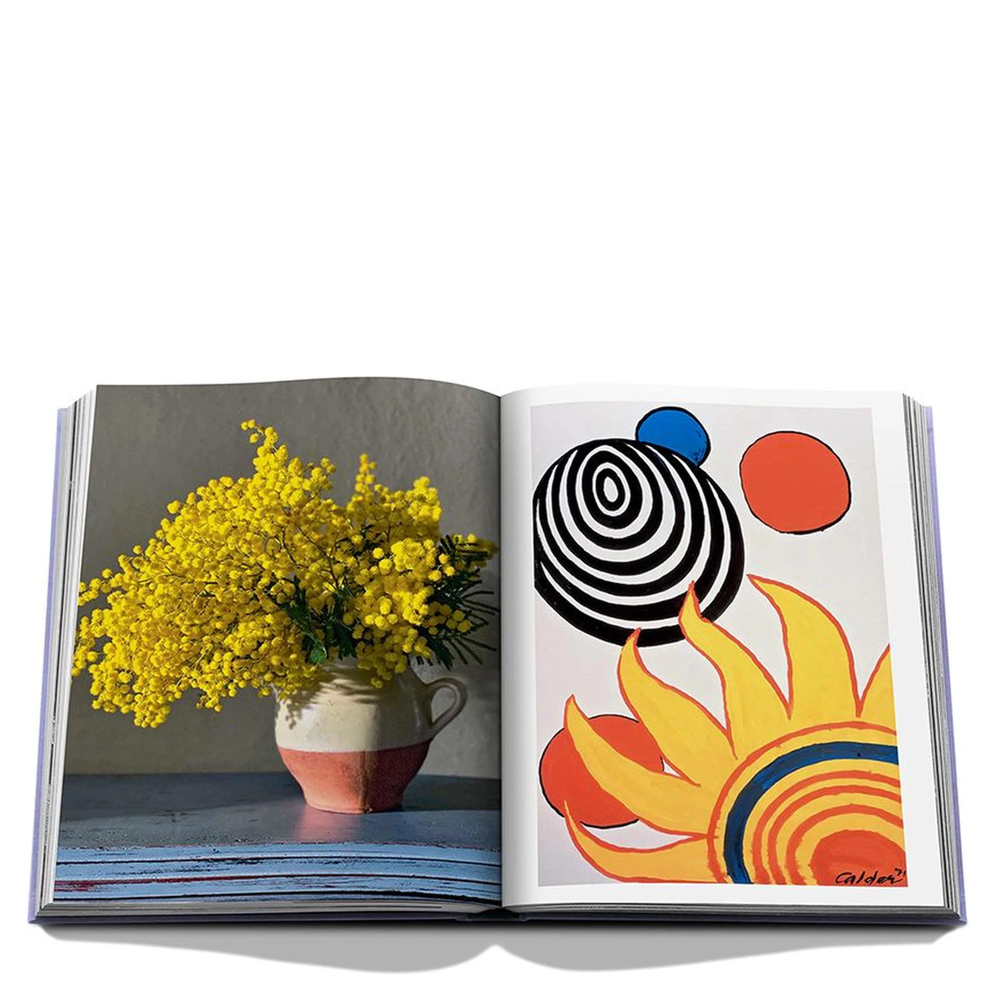 Provence Glory - Hardback