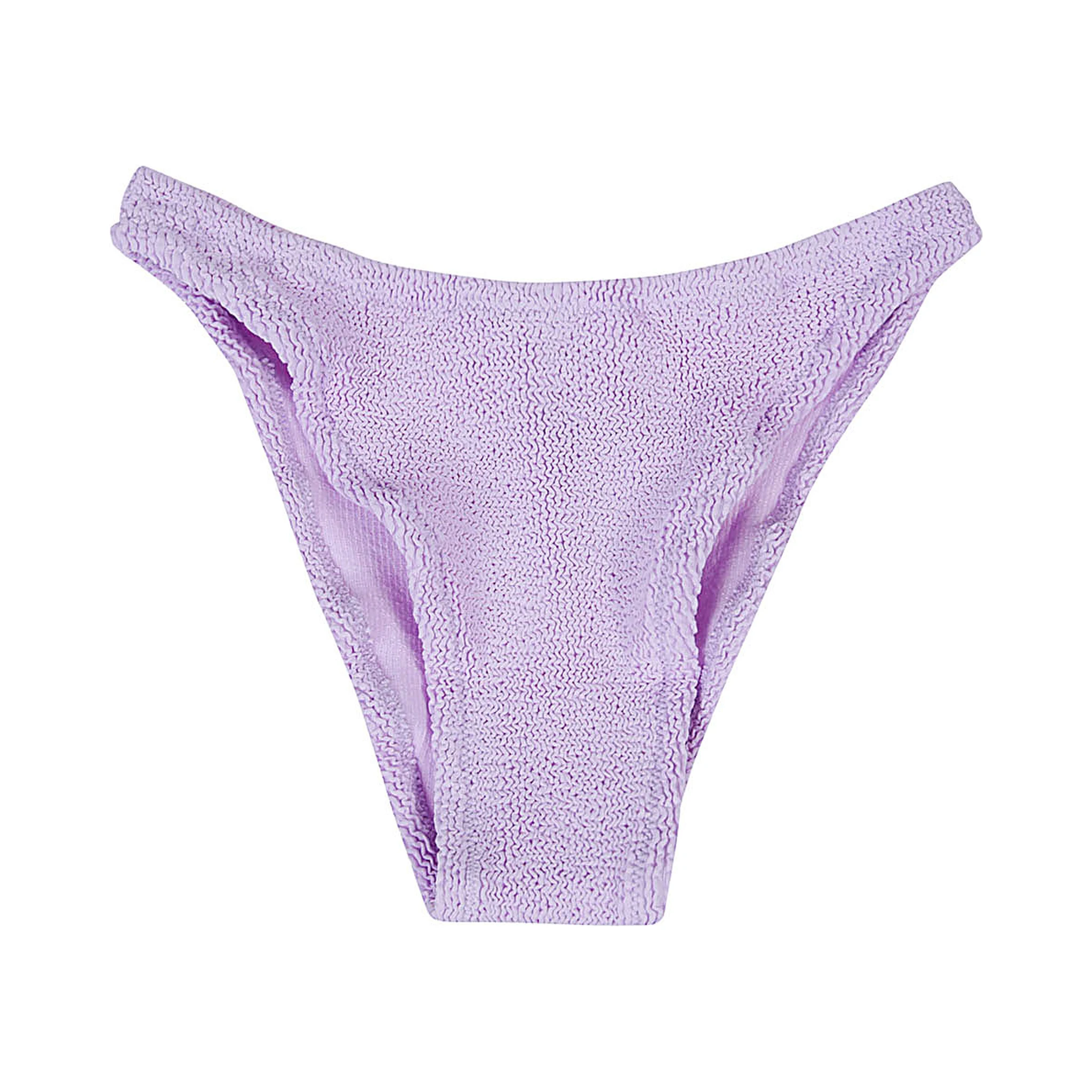High Waisted Bikini Bottoms In Violet
