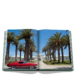 Punta Del Este In Green