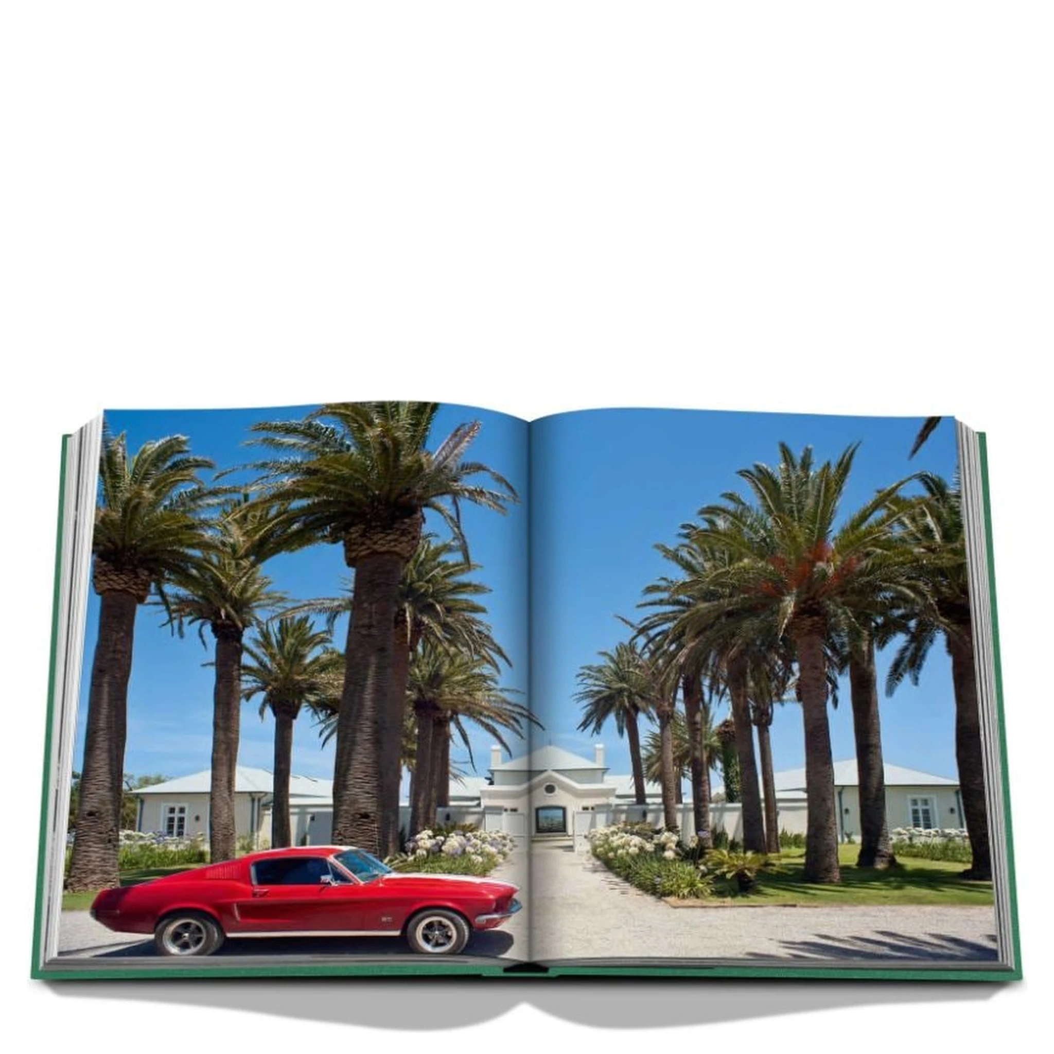 Punta Del Este In Green