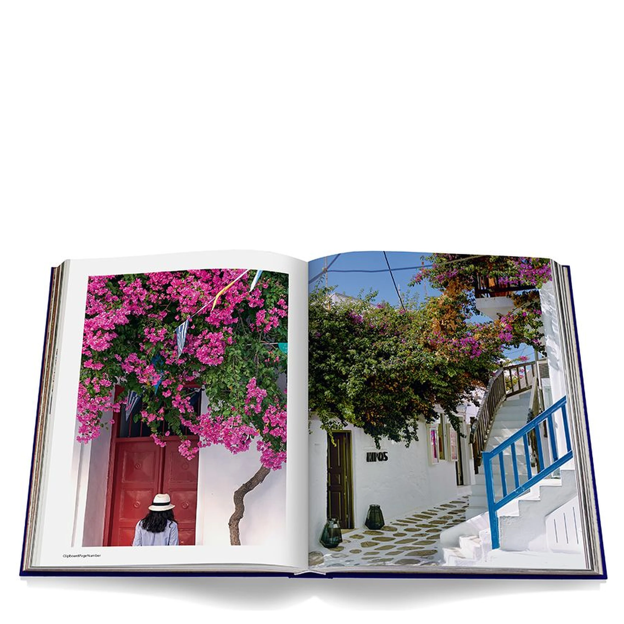 Mykonos Muse book