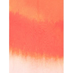 Alexander McQueen Scarfs Pink