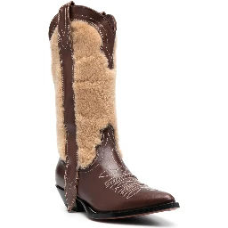 Texan Boots With Embroidered Appliqué Detail In Brown