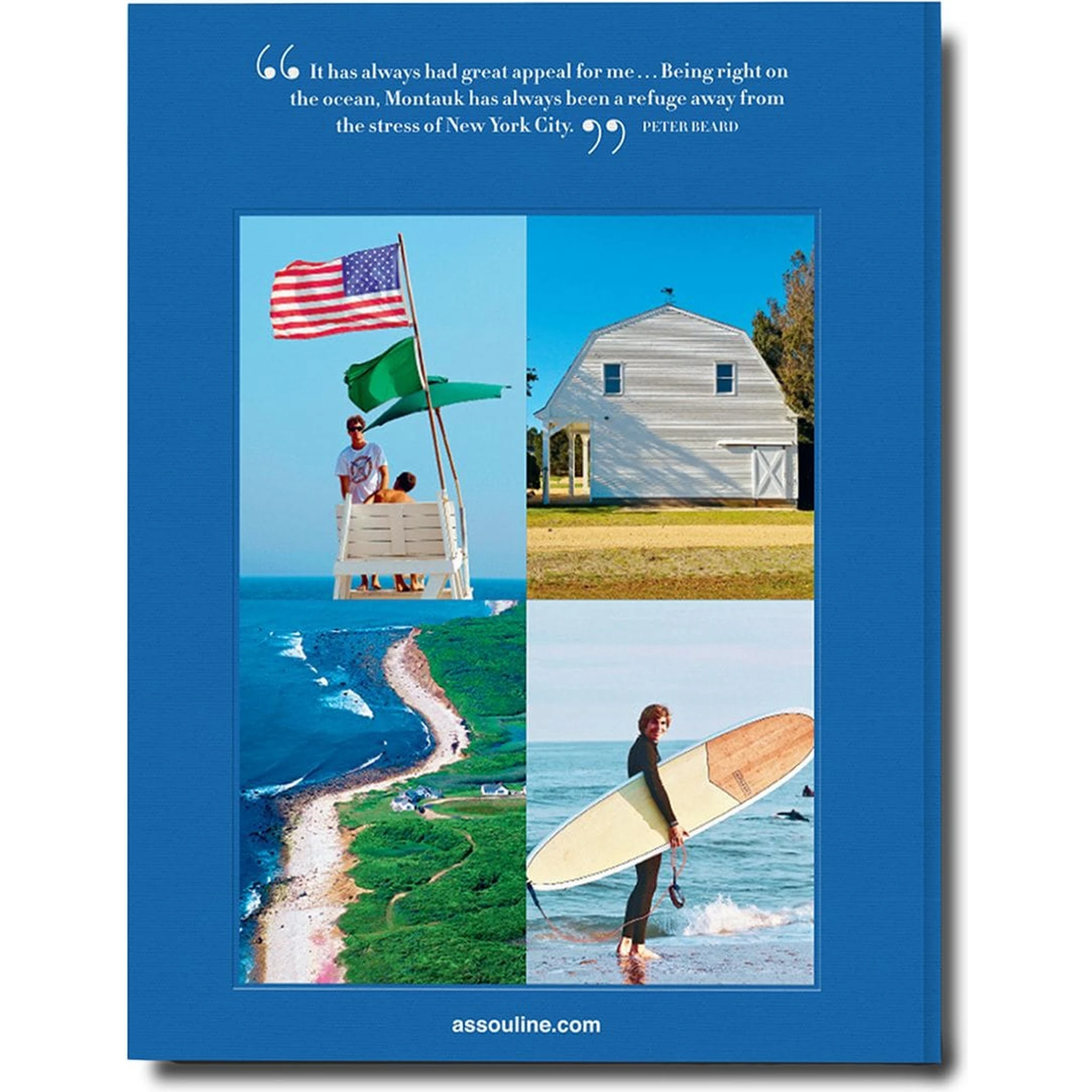 Hamptons Private book