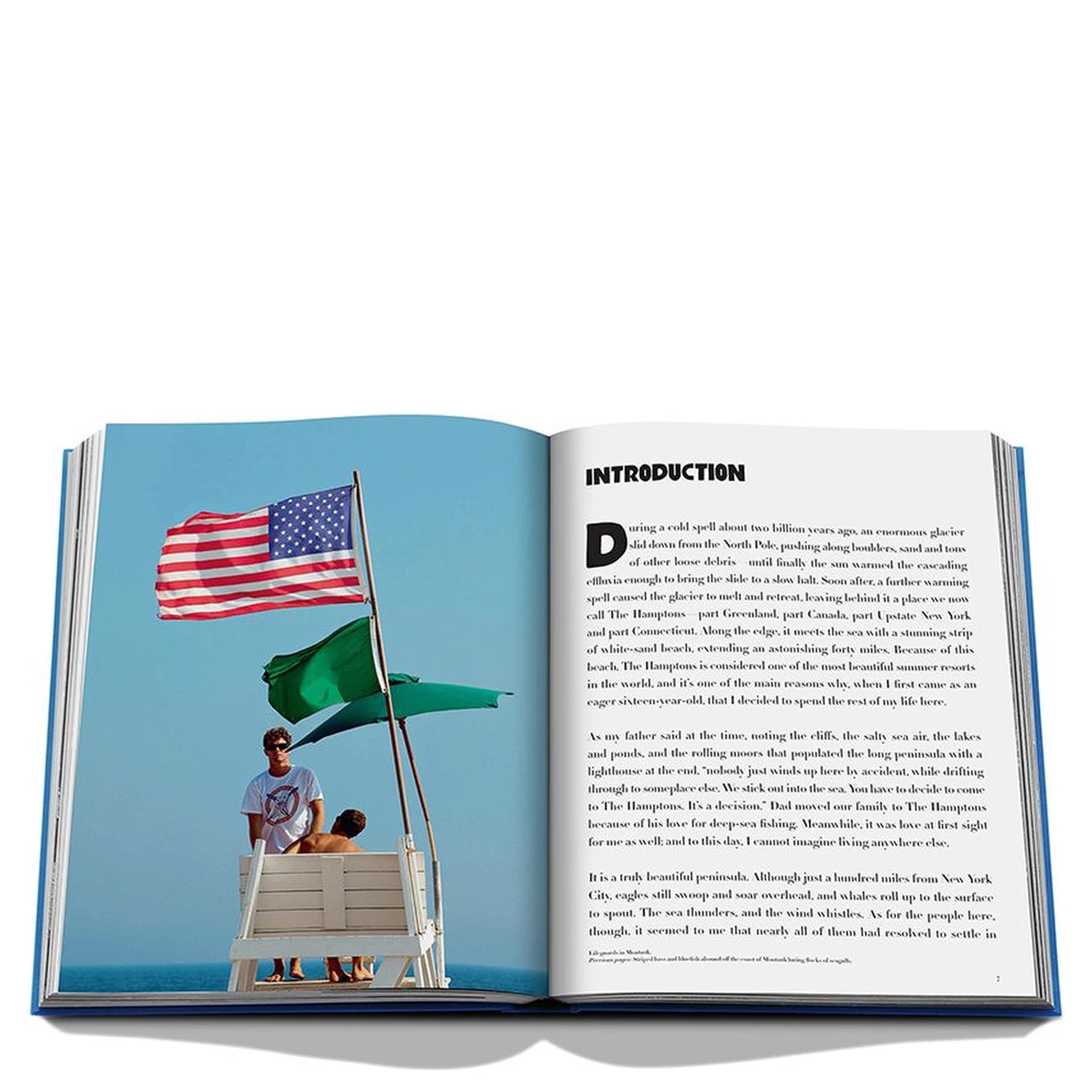 Hamptons Private book