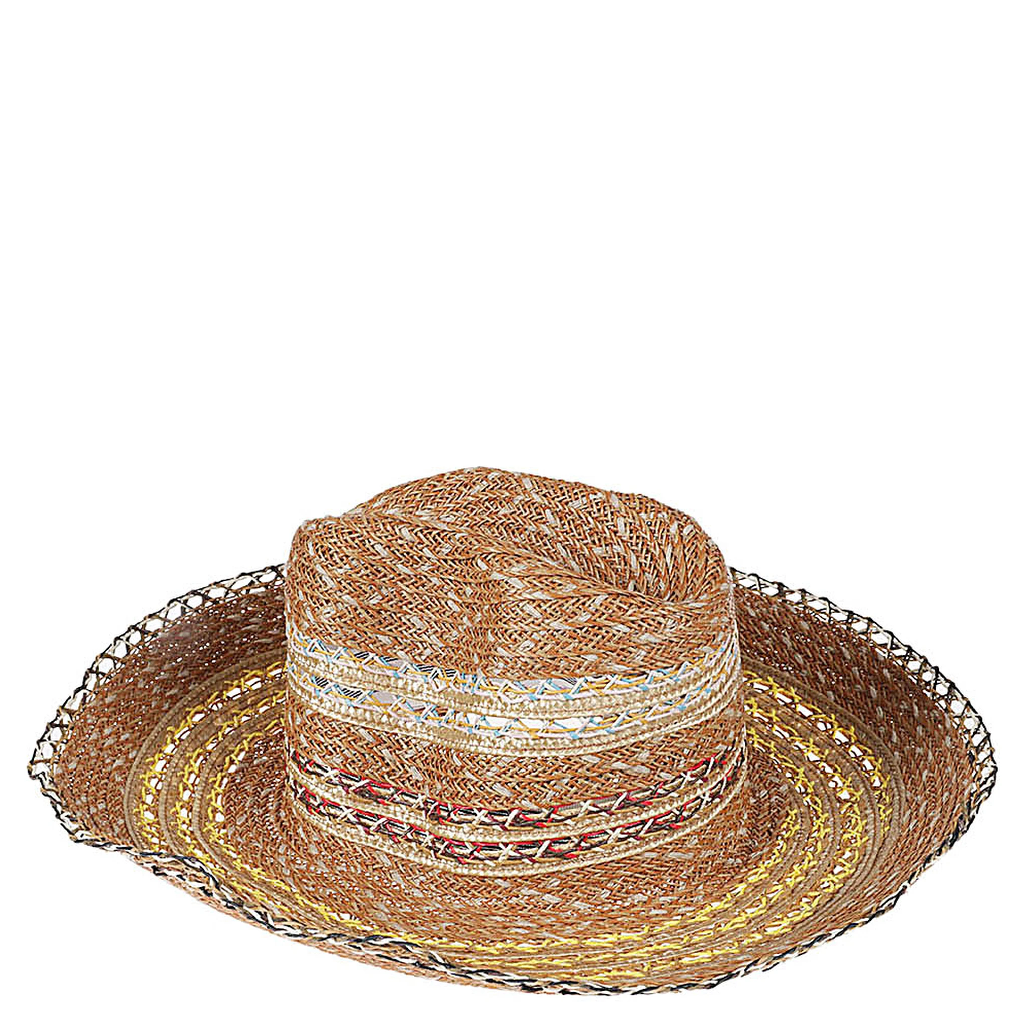 Raffia Fedora Hat In Brown