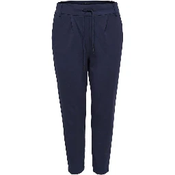 Blue Viscose Casual Pants