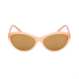 Brown Acetate Sunglasses