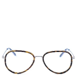 Gray Stainless Steel Glasses (Frames)