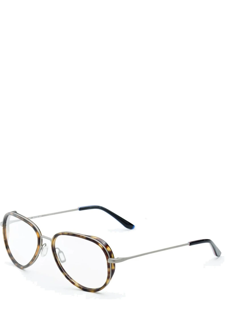 Brown Stainless Steel Glasses (Frames)