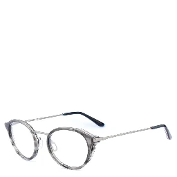 Gray Stainless Steel Glasses (Frames)
