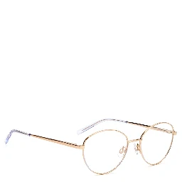 Purple Metal Glasses (Frames)
