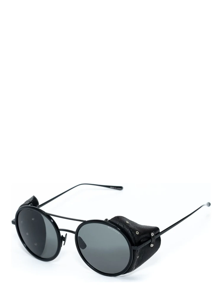 Black Titanium Sunglasses