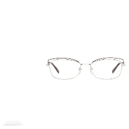 Bicolor Metal Glasses (Frames)