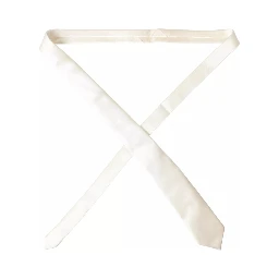 Off White Satin Silk Classic Men Necktie