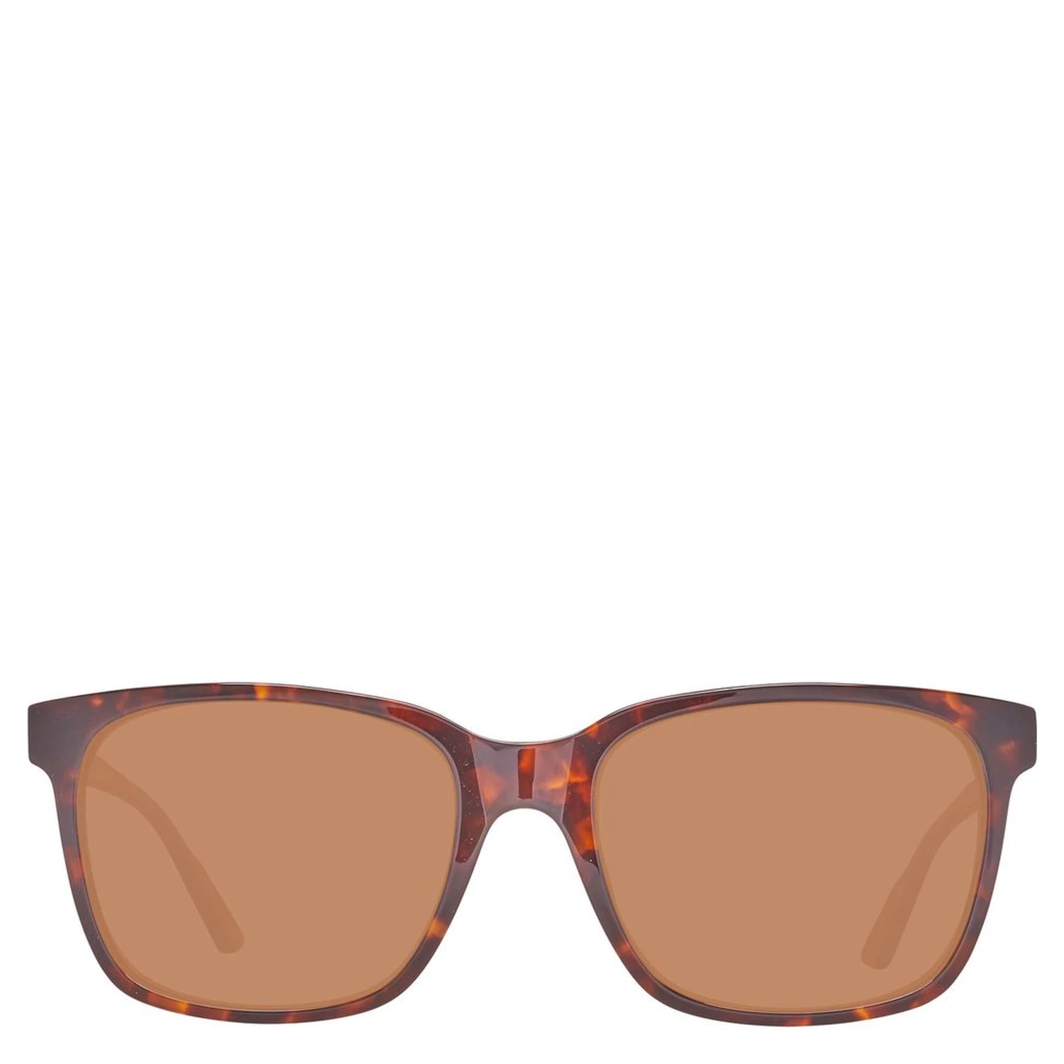 Brown Plastic Sunglasses