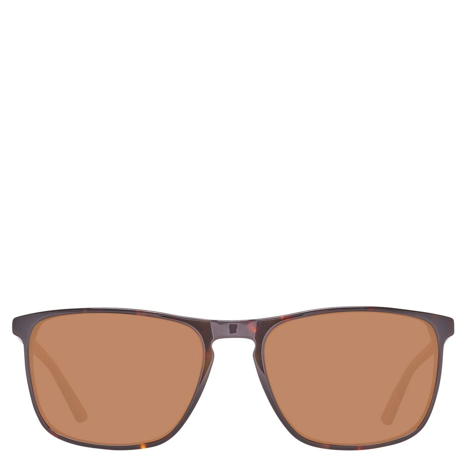 Brown Plastic Sunglasses