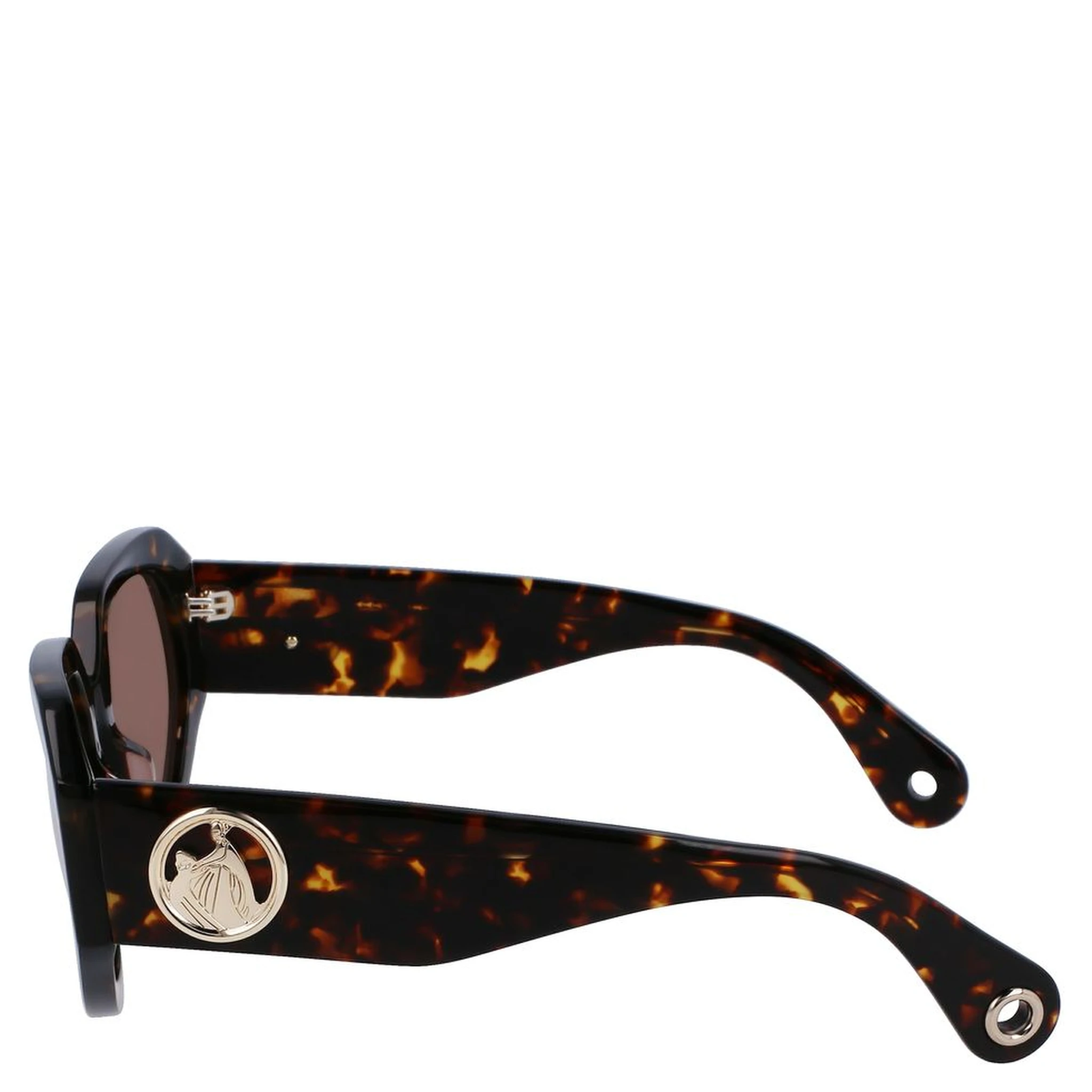 Brown Acetate Sunglasses