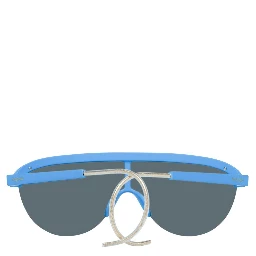 Blue Plastic Sunglasses